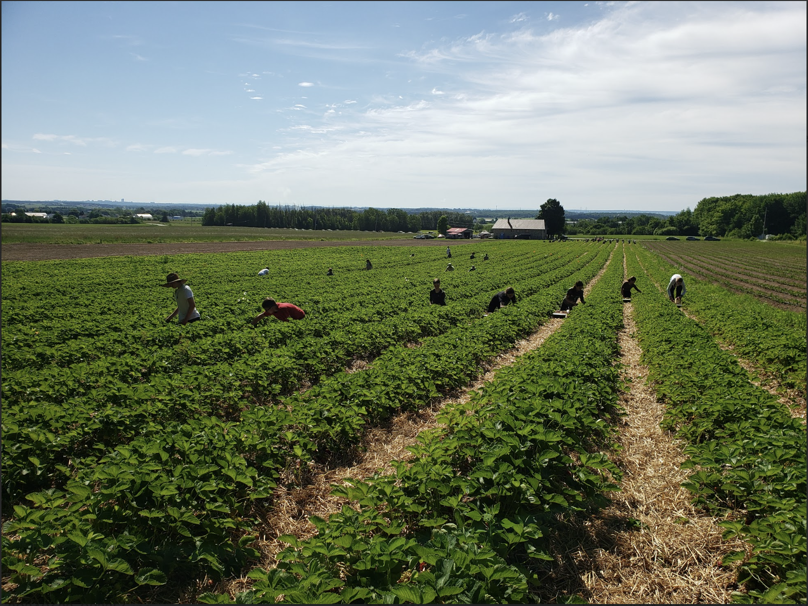 Parlons agriculturement!