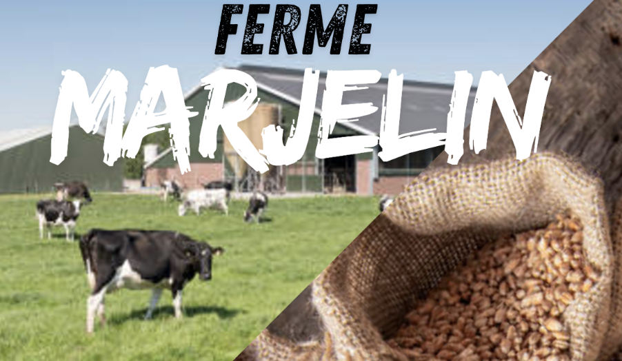 L’agriculture en détail!