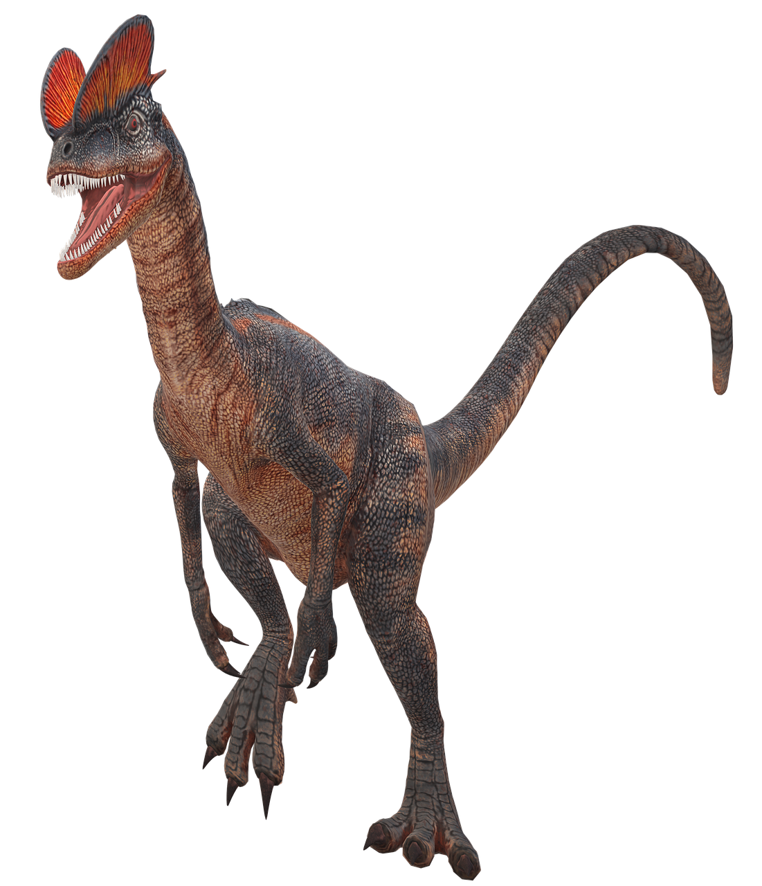 Dino-infos Le diplophosaure
