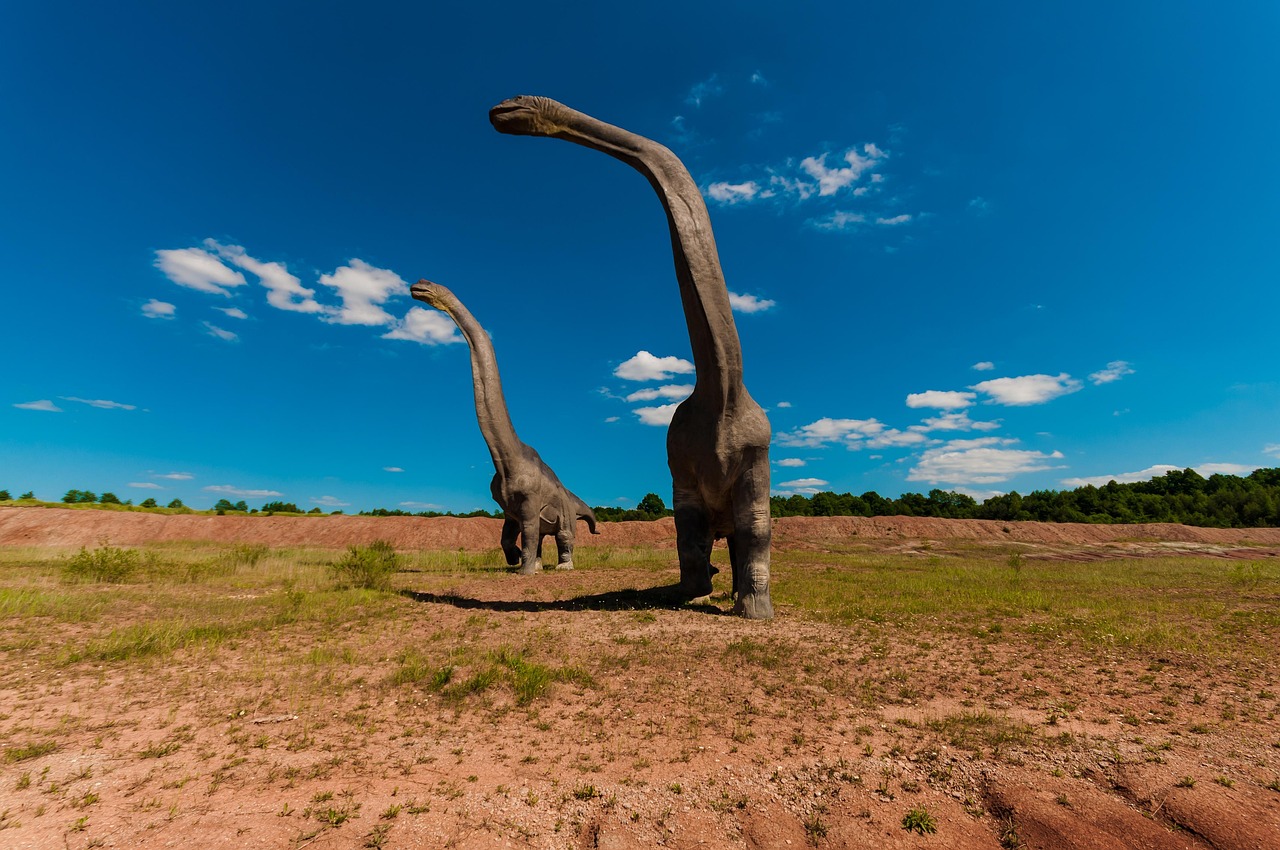 Dino-infos: Le diplodocus
